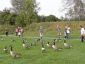 2014-10-02 12-27-19 Rando parc de la Courneuve DLe